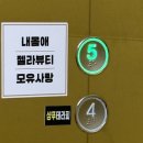 젤라뷰티 | 거제왁싱 잘하는 곳 “젤라뷰티” 청결하고 꼼꼼한 거제브라질리언 후기