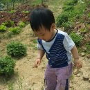 서율농장 이미지