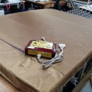 한국천기권 이미지