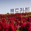 화제보건진료소 이미지