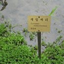 꽃을주는사람 이미지