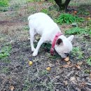 성헌농장 이미지