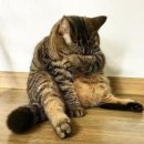 대박가든