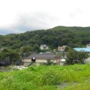 나루터상회 이미지