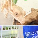 물고기노리터