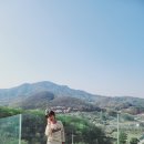 파인힐 빌리지 캠핑장 이미지