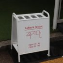 237가이오