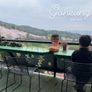 별헤는 몰랑 이미지