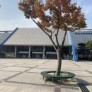 광명 시민체육관(내부) 이미지