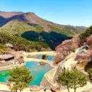 티스테이션문화점 | 🌿혼자여행 하동군 &amp; 차향과 함께 여행 2박3일🌿