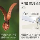 씨앗통신 이미지