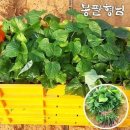 종순농장 이미지