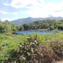 사북면사무소 이미지