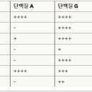 G3657 네이버블로그