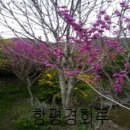 함평 경회루 이미지