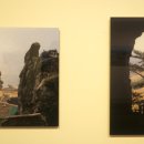 포토갤러리자연사랑 미술관 이미지