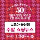 뉴코아미소페