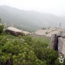 유가사길 이미지