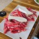 경주 아화 소고기 맛집 두리숯불갈비 현지인 내돈내산 한우 찐맛집 추천