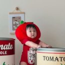툴리(Tuli)
