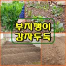 두둑 이미지