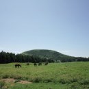 산록남로 이미지