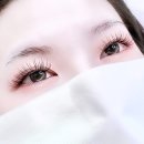샤니래쉬