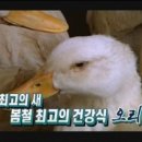 청림농장 이미지