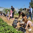 아빠와 함께 이미지