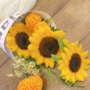 사파동397 이미지