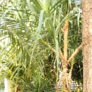 경주동궁원 이미지