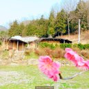 산수골황토방 이미지