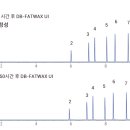 G3903 이미지