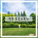 부모님 모시고 아이와 가볼만한곳! 구로구 항동 푸른수목원 항동철길