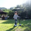 쉬자트리하우스 이미지