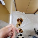 기와집꽈백 이미지