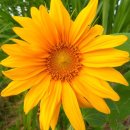 가장큰현대아산약국 이미지