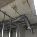 율곡고등학교 이미지