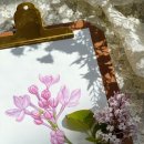 보태니컬 아트 전문가 이미지