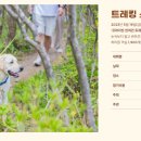 피크닉댕댕 네이버블로그