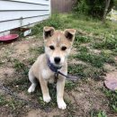 달바위농장 이미지