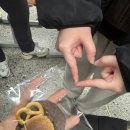 십구세의 일이월