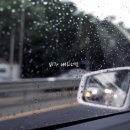 🐷🐷 비 오는 날 꼭 봐야되는 가수님 영상이 있죠~~ ( 딱 떠오르신게 있다면 찌찌뽕!!ㅋㅋ) 이미지