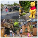 Jungle Cruise | 만3세 유아 la디즈니랜드 신나게 놀기(3)