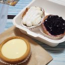 오늘의숲 이미지