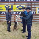노일호 특수목적견 Daum카페