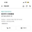 청년피자 수원영통점