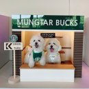 퍼피힐(PUPPY HILL) | 대형애견카페 | 실내 야외 애견운동장 | 강아지 포토존이 있는 초대형 애견카페 | 파주 퍼피힐 PUPPY HILL