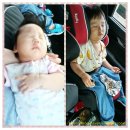 전진타운 어린이집 | 삼둥이도 다녀온 인천 송도 폴리 플레이파크에 다녀왔어요^^