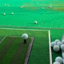 자유로스크린골프 이미지